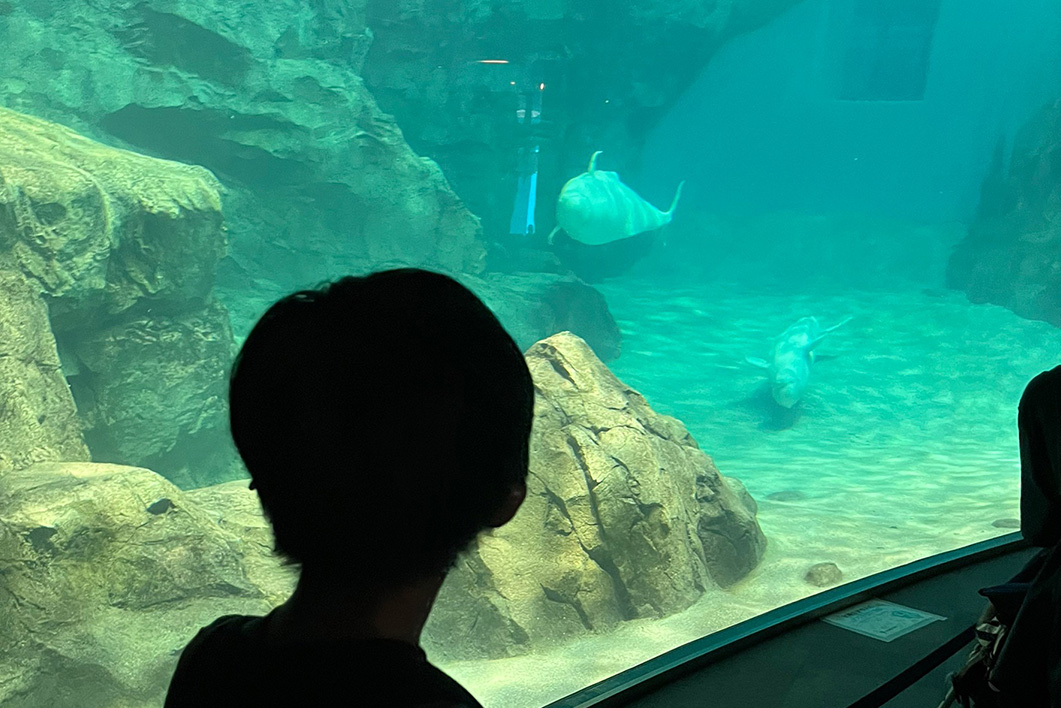 名古屋港水族館